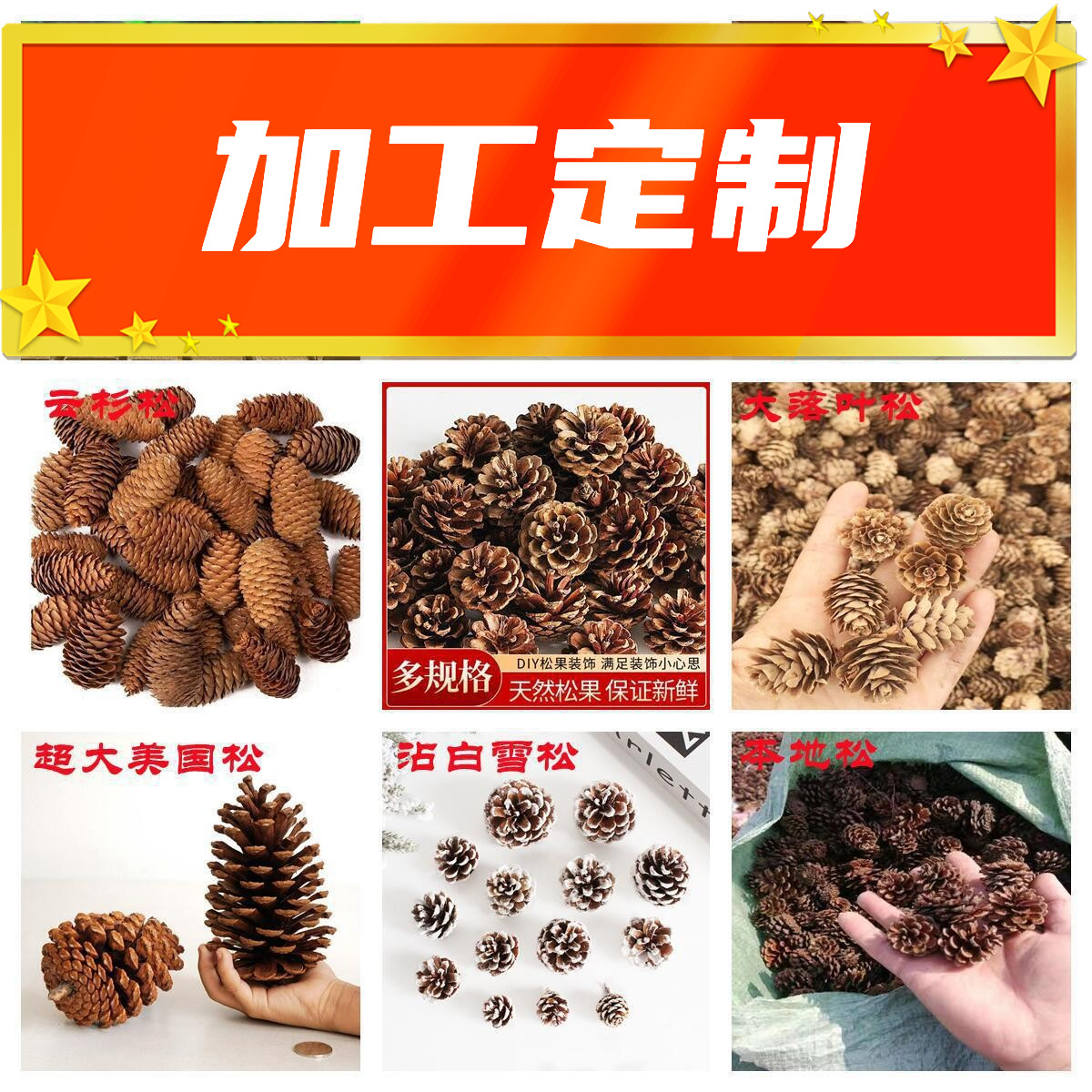 Procesamiento y embalaje de piñas Flores secas personalizadas Pinus olinus americano Pinus olisina local Pinus scale hilo colgante de piñas naturales