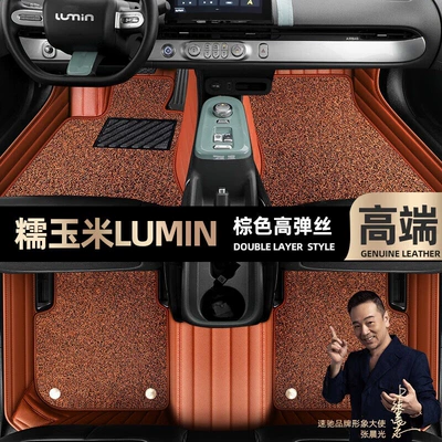 Floor Mats, Ayaqaltılar (Kovriklər) - take-a-photo-of-the-car-model-year-and-leave-a-message-brown-leather-brown-high-elastic-silk-double-layer-model