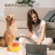 Pet cat automatic feeder supplies yellow duck cross-border new intelligent automatic food interactive dog feeding machine