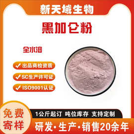 水溶 黑加仑粉   黑加仑浓缩汁粉  黑穗醋栗粉  新天域黑醋栗粉