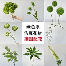 �Gɫ��c���滨�ļٻ��\�Gɫ����õ���w��ٻ�·����Y���b廨