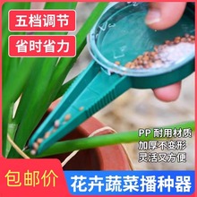 多功能菜籽点播器蔬菜手动育苗盘萝卜白菜花卉园艺小型小粒播种器