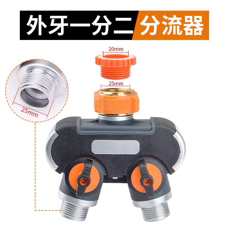 원-투 션트 [외부 치아]]