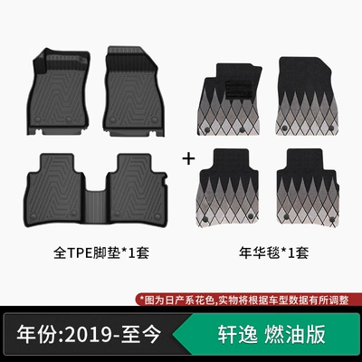 standard, zero formaldehyde, wear-resistant, Modelə uyğun ayaqaltı - 19-present-model-nissan-sylphy-petrol-version-tpe-floor-mats-nianhua-velvet-carpet