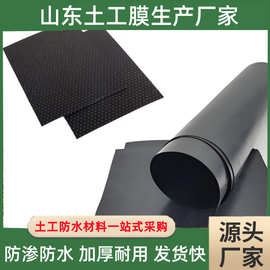 土工膜污水处理蓄水池固体废弃物沼气池水渠工程全新料防渗土工膜