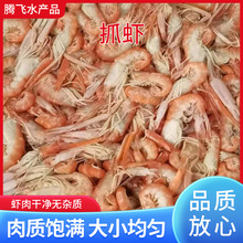 �S��؛Դ���צ�r���r���r�������r���r���r���b�F؛����