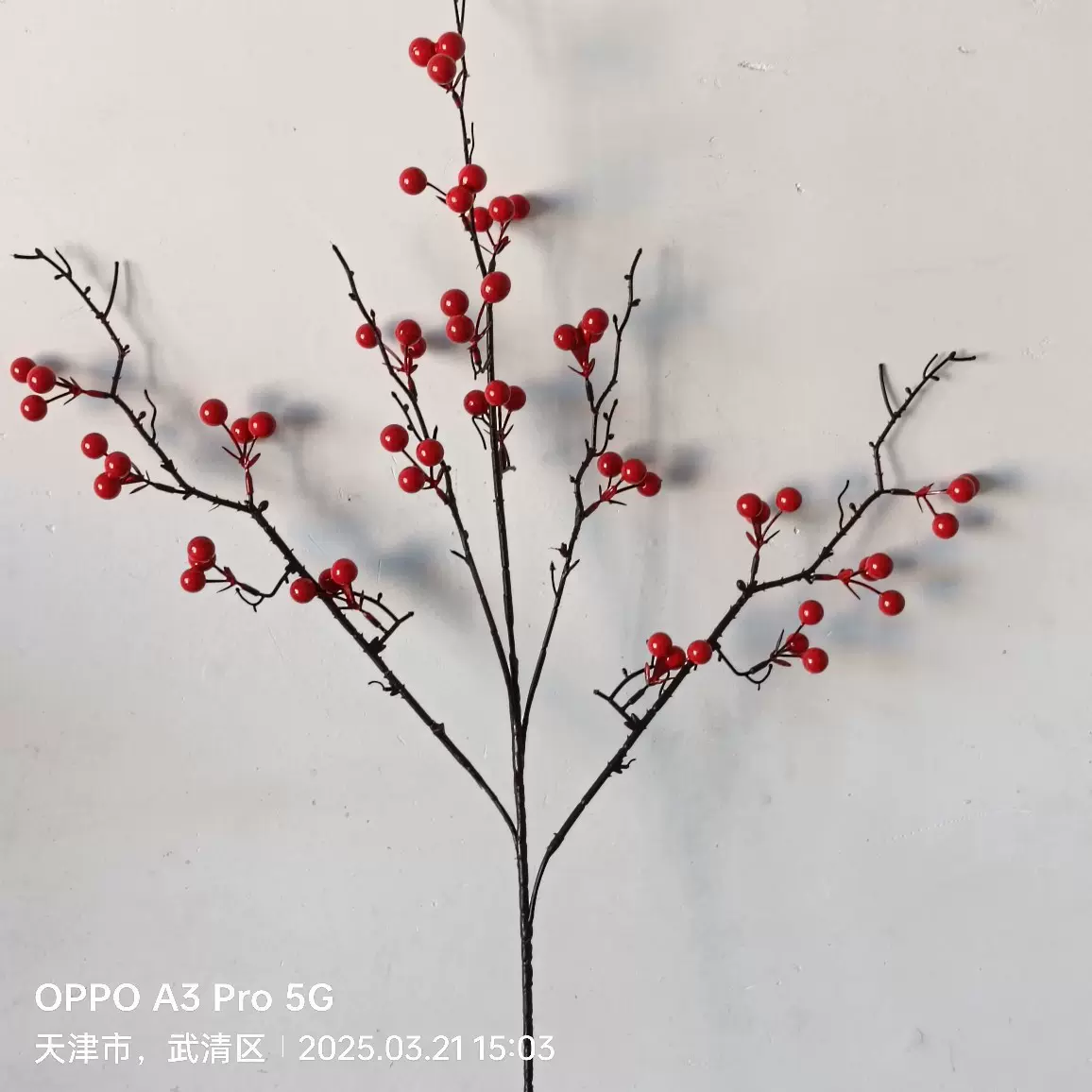 厂家批发仿真红果19叉发财果新年春节装饰道具福桶婚礼摆件冬青果