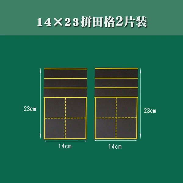 14 × 23 Pin Temple 2 tablets