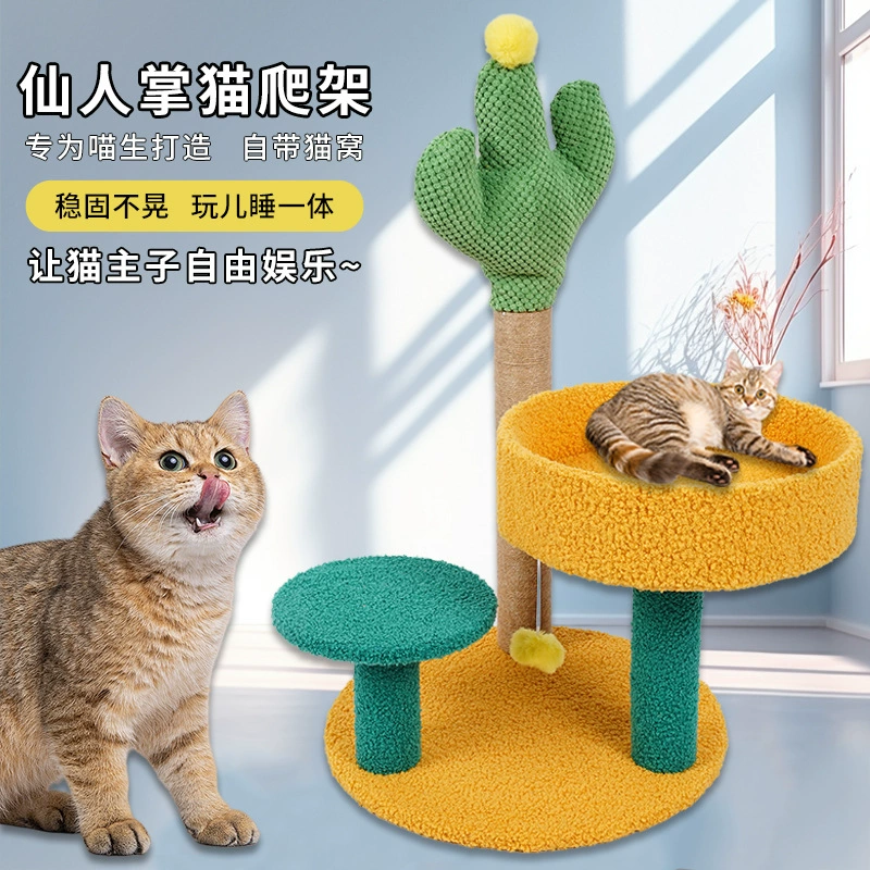 Кактус кошачья скалолазная подставка