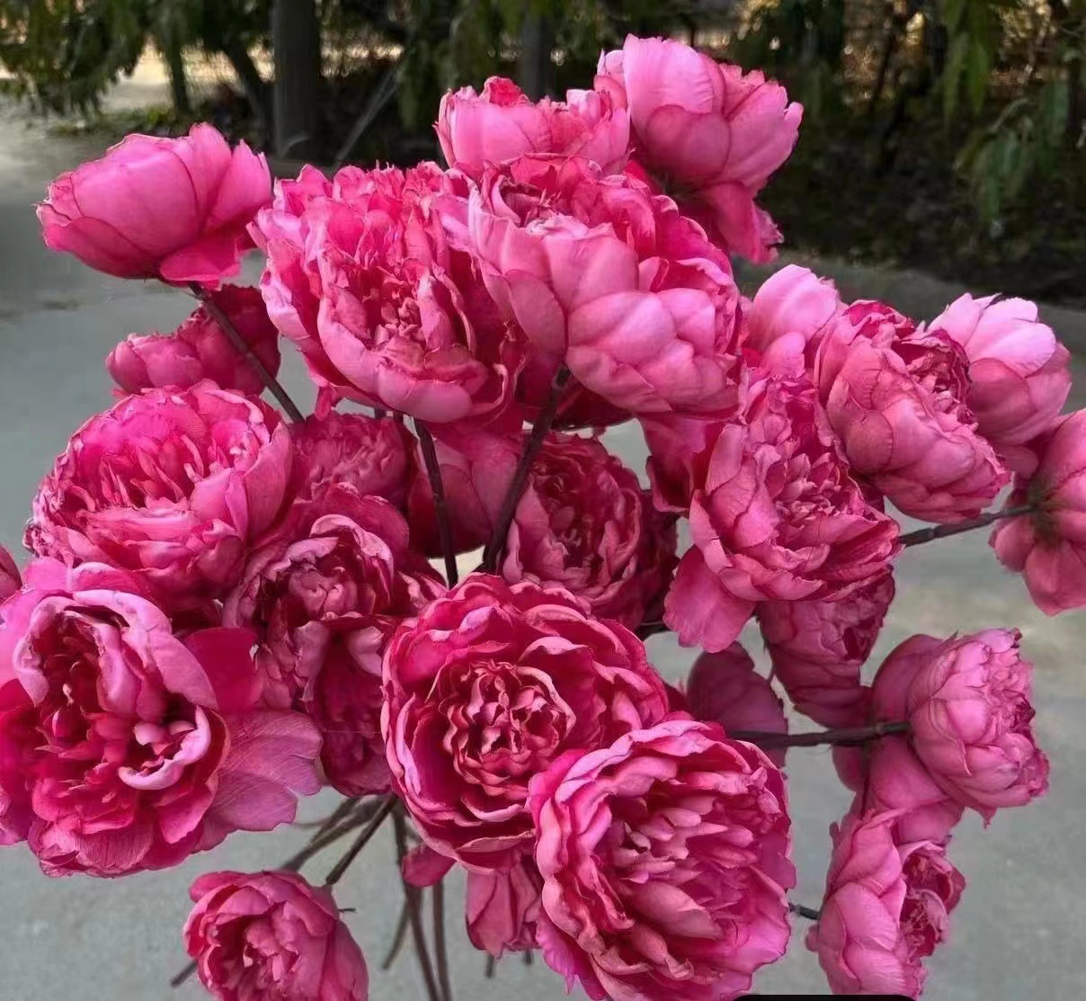 微信图片_20230705094357