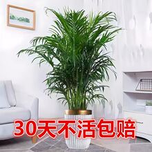 ļڸFҬӴ;Gֲ҃ȿ͏dkҺB辰