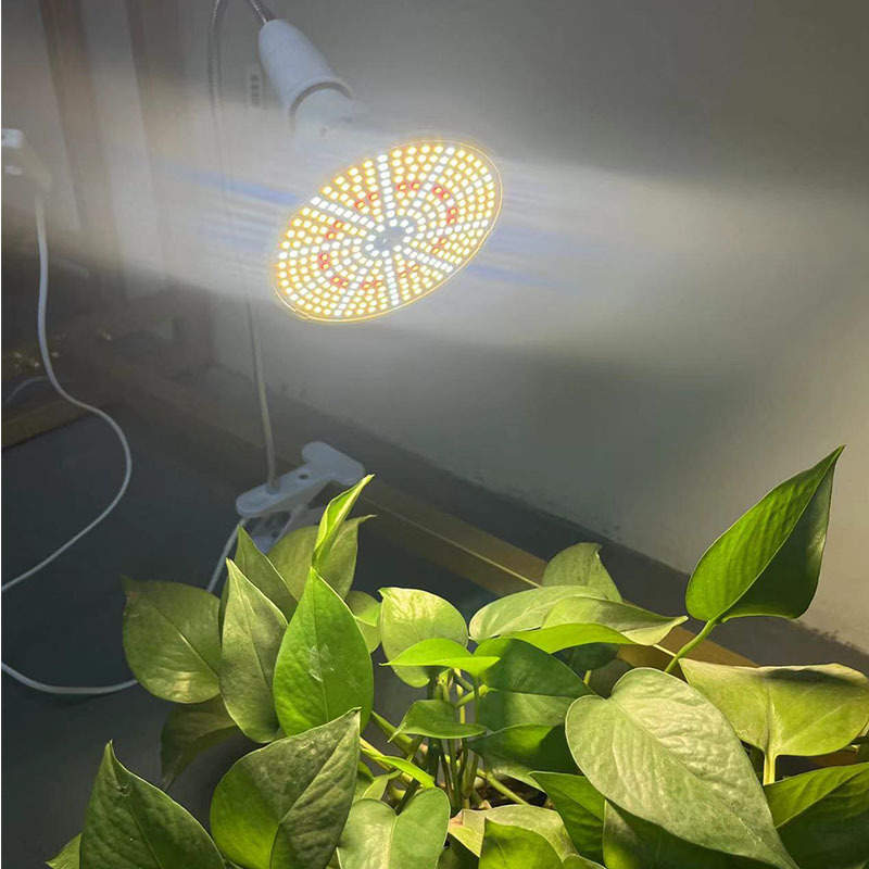 Fábrica al por mayor 290led espectro completo planta suculenta para colorear planta vegetal de invernadero de plántulas de interior Luz de relleno