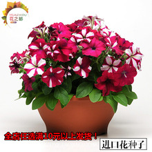 �M�ڰ���ţ�N�� �ļ��Ĵ��＾�� �҃��̨�����׷N���ܷN�� ����