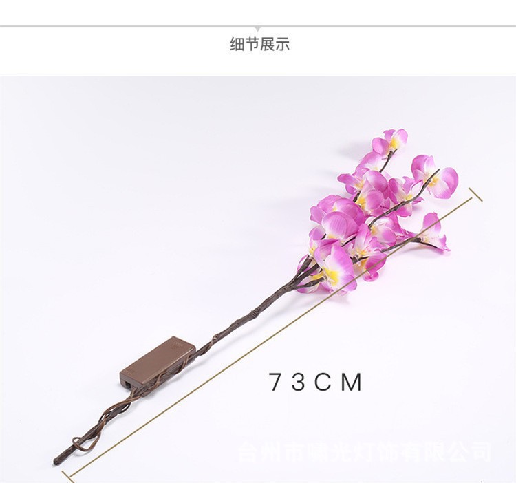 O1CN01wGeNDt1YBfUJ0r0R4_!!2214