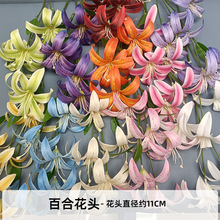 3d��ӡ�ٺϻ��^diy�ٻ��^ٺϻ��^�b�ٺ�Ұ�ٺϻ��^���滨