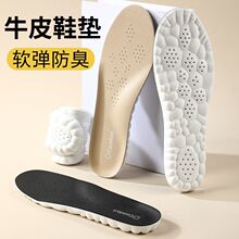 ţƤ녶�Ь�|�Ӻ�͸���\�Ӝp����Ůʿ��ܛ���m�ߏ�ƤЬ���e��ʺ��