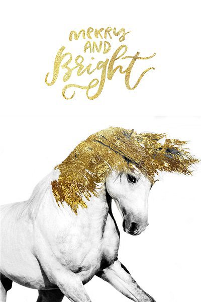 50322 Caballo de lujo ligero09