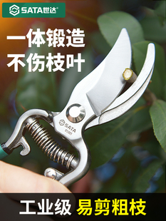 ���߼�֦��֦��������@�ֈ@ˇ���޼���֦��ˇ��ʡ�����֦��