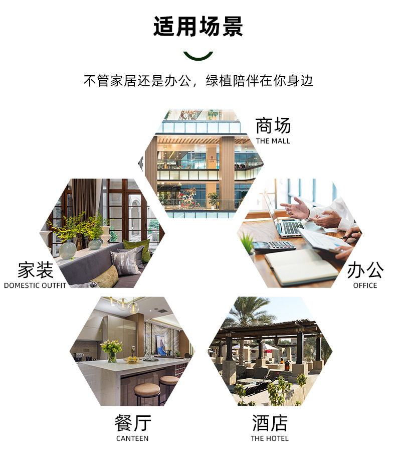 详情_13.jpg?x-oss-process=image/format,png