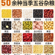 �s�Z������s�Z��ȫ�M�ϴּZ�ˌ��ඹ�{�S���򶹝{ʳ�����l