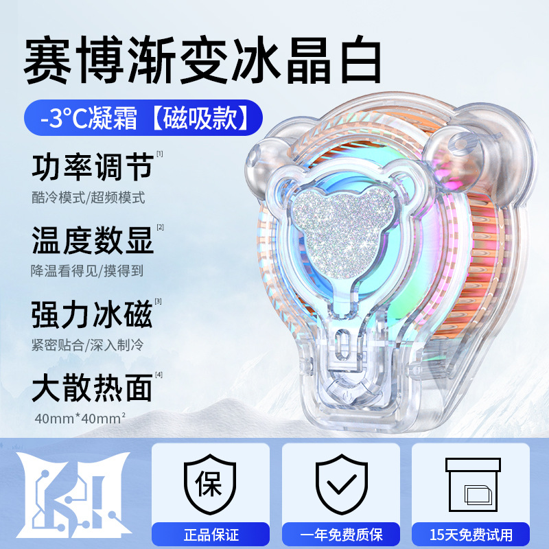 N20 투명 (디지털 디스플레이)