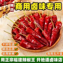 �����͹��ﳯ�콷�������F�ƺ���������������ӡ��ħ��������5��