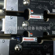 4WREE10E50-2X/G24K31/F1V R900943094 �����y