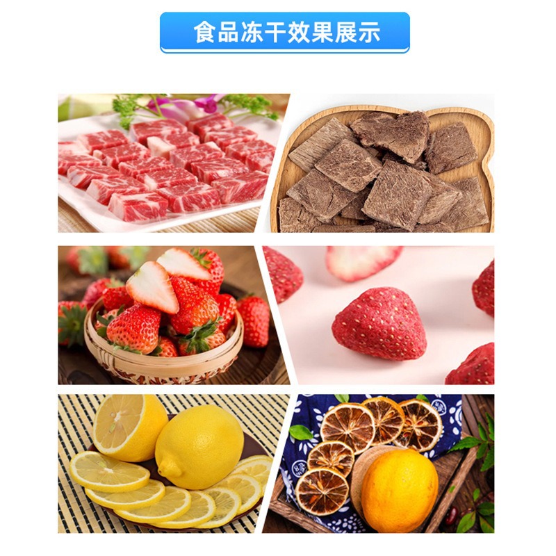 Vacuum Freeze Dryer Laboratory Food Cordyceps Chinese Medicine Fruits and Vegetables Small Vacuum Freeze Dryer Freeze Dryer 4