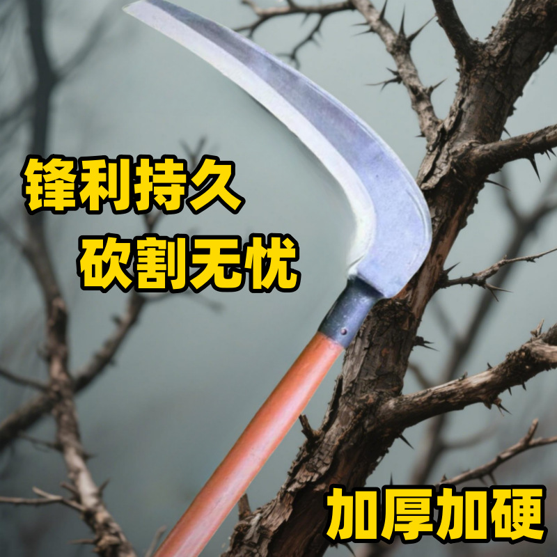 453543.png