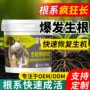 全能壮苗定制水培生根剂