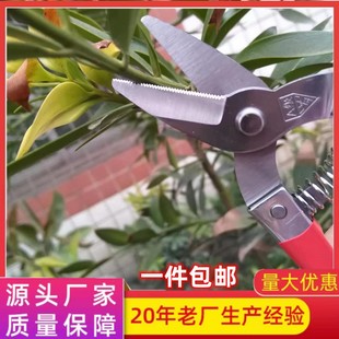 �S�����lA���_�����X���P䓼����@�ֹ����辰��֦��@ˇ���ɹ���
