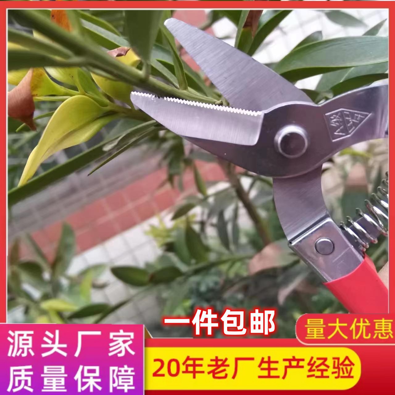 厂家批发A级罗定带齿不锈钢剪刀园林工具盆景修枝剪园艺剪采果剪
