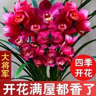 �������m�����҃������m��ī�m���m���˿͏d����һ�����l���l�F؛