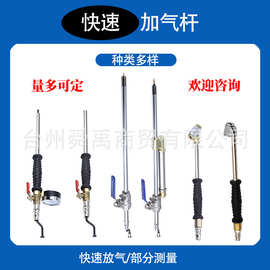 汽车轮胎打气嘴软管双头充气嘴咀摩托车自行车单车货车手摇加气杆