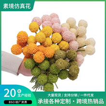 ���滨���S���l����6�^�����S����Ҿ��bٻ����� DIY���Ļ�ˇ