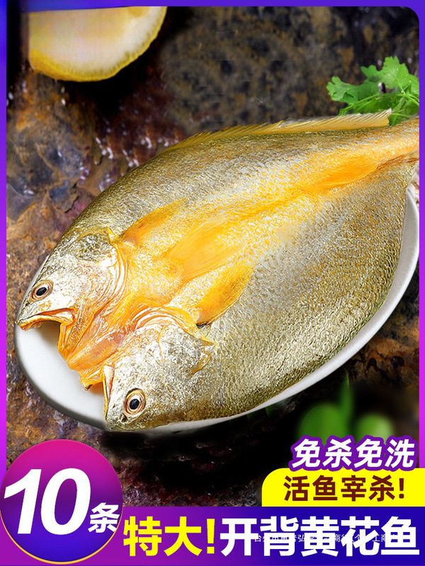 Freshly frozen yellow croaker, large yellow croaker, yellow sea bream, gutted, scaled, and scaled-free, fresh Ningde small yellow croaker, live seafood, commercial sea fish Freshly frozen yellow croaker, large yellow croaker, yellow sea bream, gutted, scaled, and scaled-free, fresh Ningde small yellow croaker, live seafood, commercial sea fish
