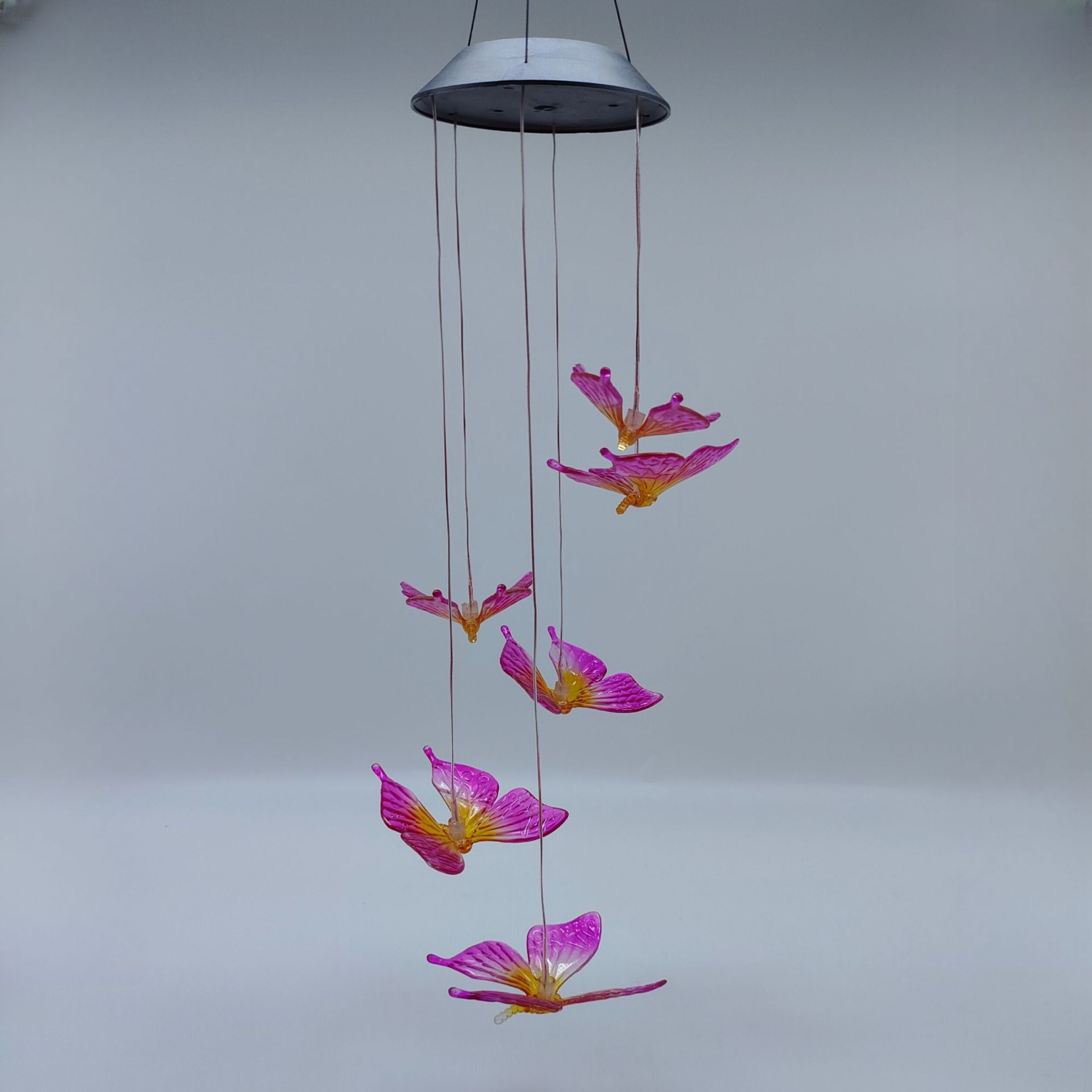 큰 보라색과 노란색 나비