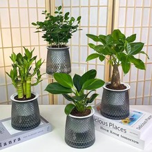 �k���ҾGֲ����С����ˮ��͏d�҃��_�����B�lؔ��G�}�k��������