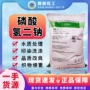 康龙印染处理工业级磷酸氢二钠