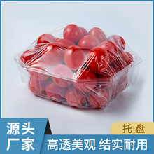 ����r�˽Ǻ�һ���Թ����бPPEˮˮ���������͸���o�w���к����l