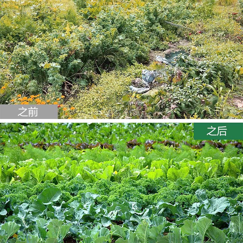 O1CN018njo4m1kAXsQ2by6G_!!9836