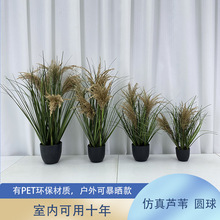 ����ɱ������Gֲ���Ѳ�ëϞ�Tpvcֲ�������Ѱ�������ؼ�����