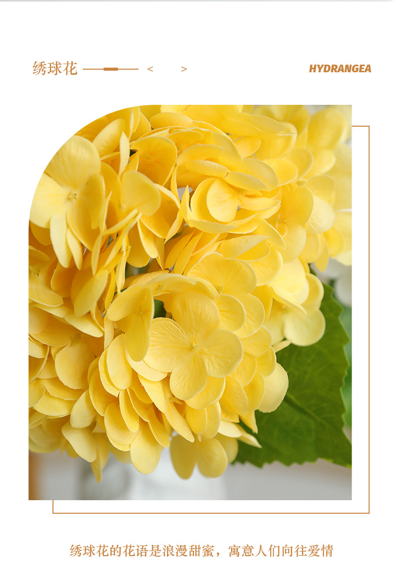 短枝夏彤绣球_02.jpg