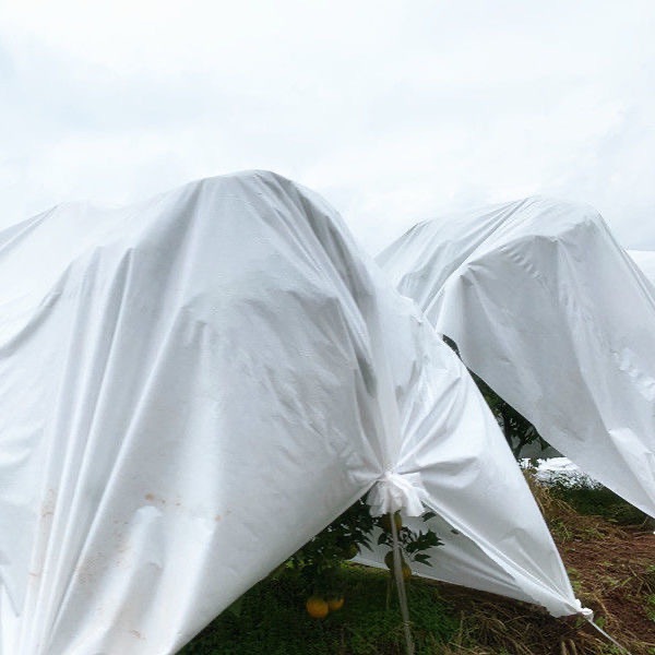 高速公路护坡果树防雨布防寒布柑橘橙树防水保暖防冻防霜保温布