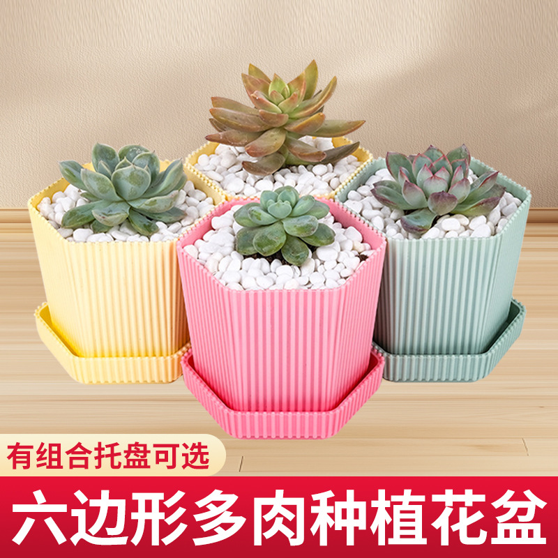 批发六角形六边迷你塑料多肉花盆盆栽创意简约室内树脂多肉花盆