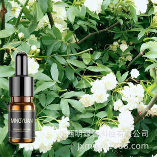 ľ���� ľ�㾫�� ֲ�ﾫ�� Woody oil �m������û����aƷԭ��