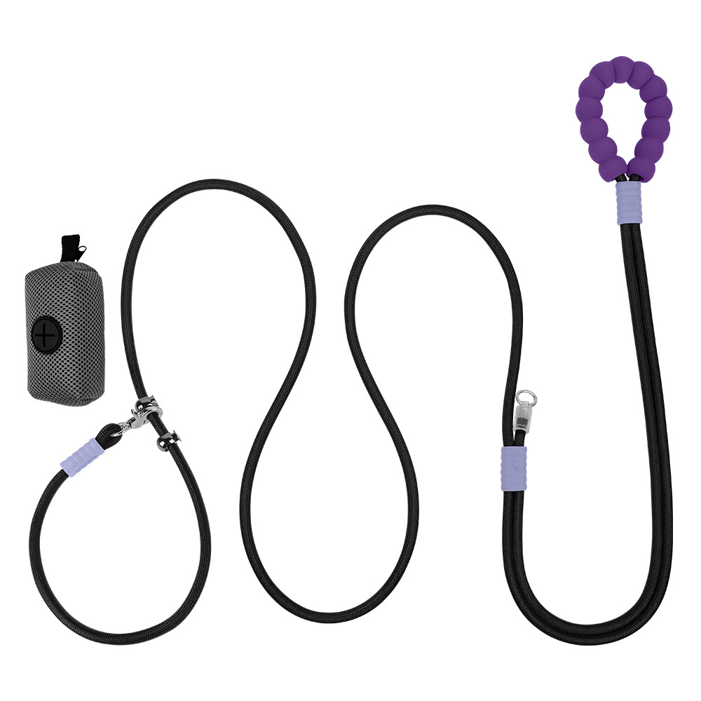 블랙 컬러풀 + 강아지 가방