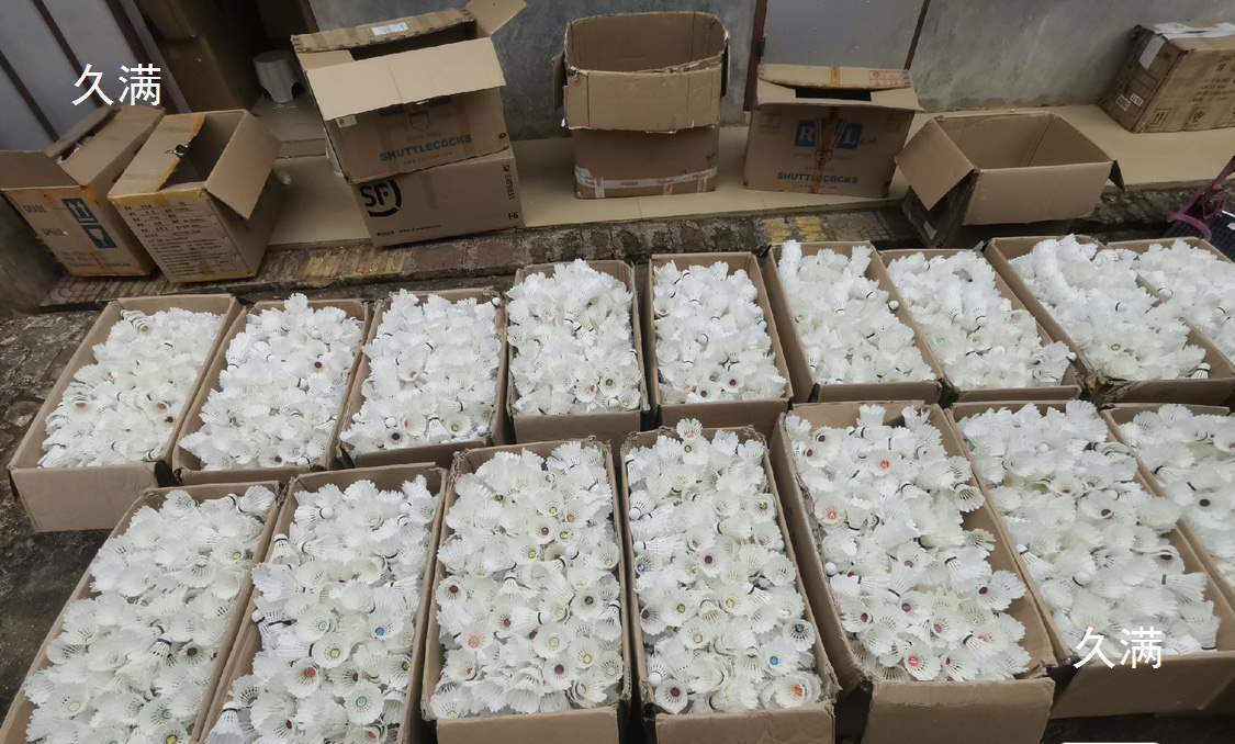 Badminton Cheap Wholesale Practice Second-Hand Badminton Training Entry-Level Training Large Supply Entertainment Primary School Students