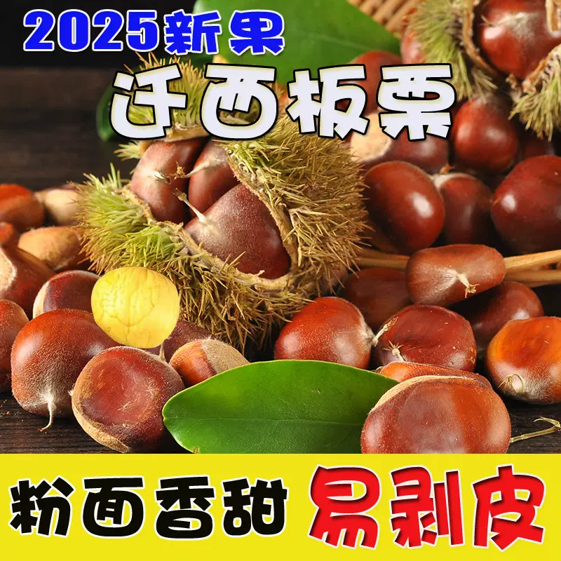 【活动】河北迁西板栗 代发1/3斤香甜粉糯生栗子新鲜当季毛栗子