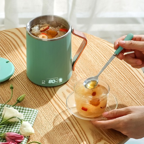 110V220V Weibili Travel Electric Kettle Adjustable Temperature Insulation Kettle Portable Hot Water Kettle Health Cup Winter Gift